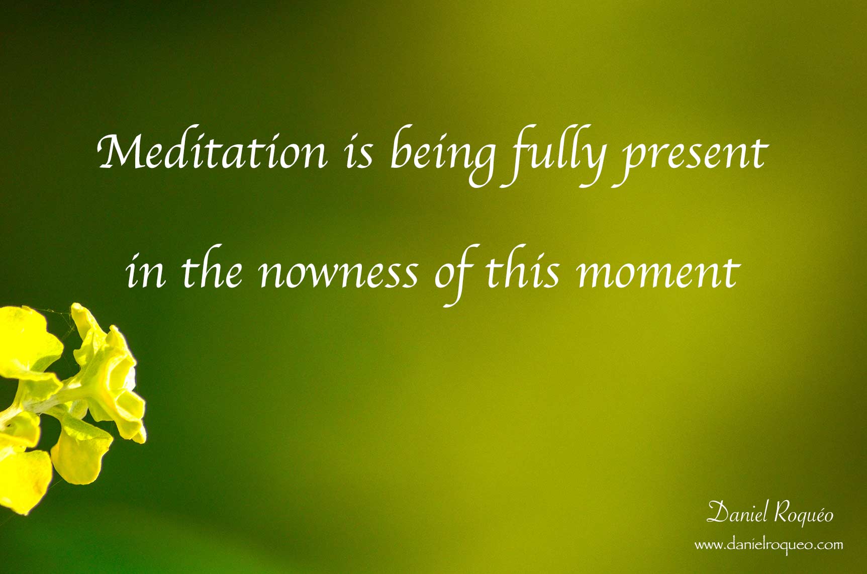 Meditation is being fully present in the nowness of this moment