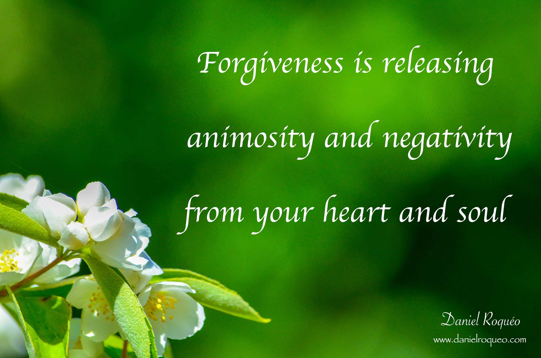 Forgiveness is releasing negativity from your heart and soul