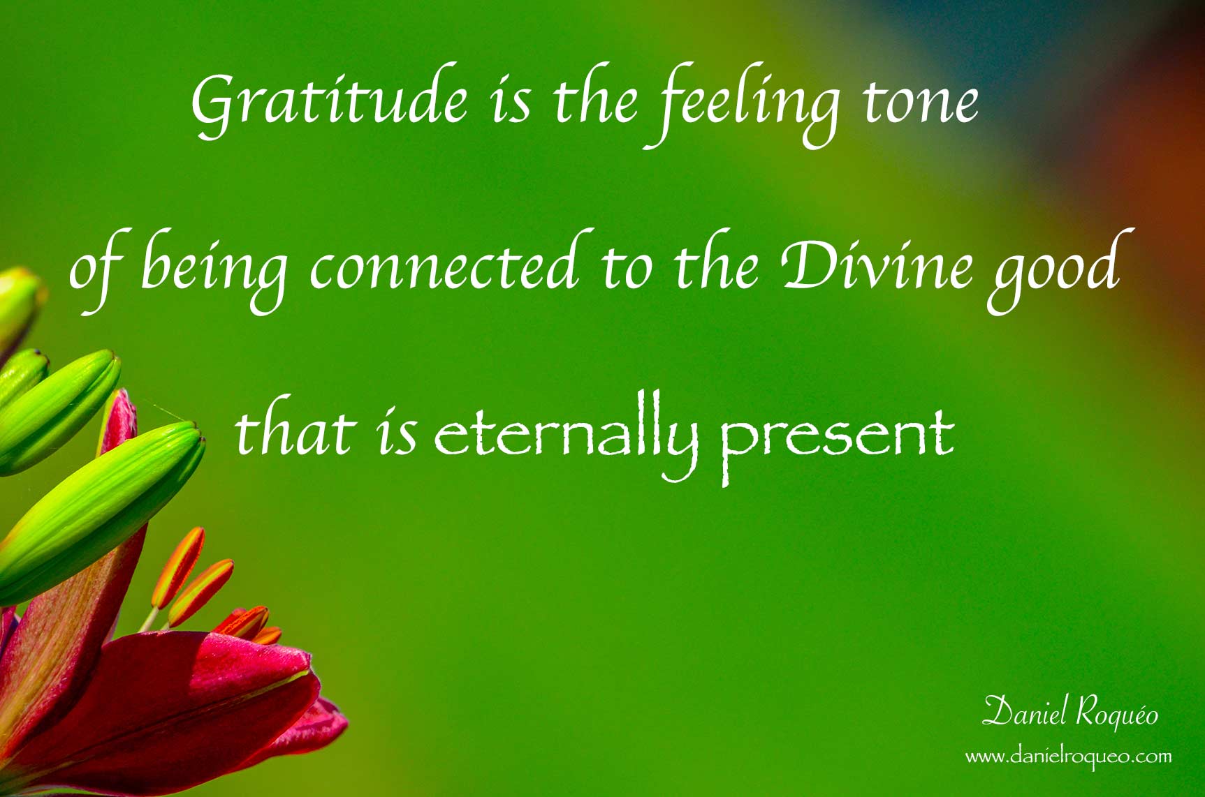 gratitude is the feeling tone of being connected with the good that is eternally present