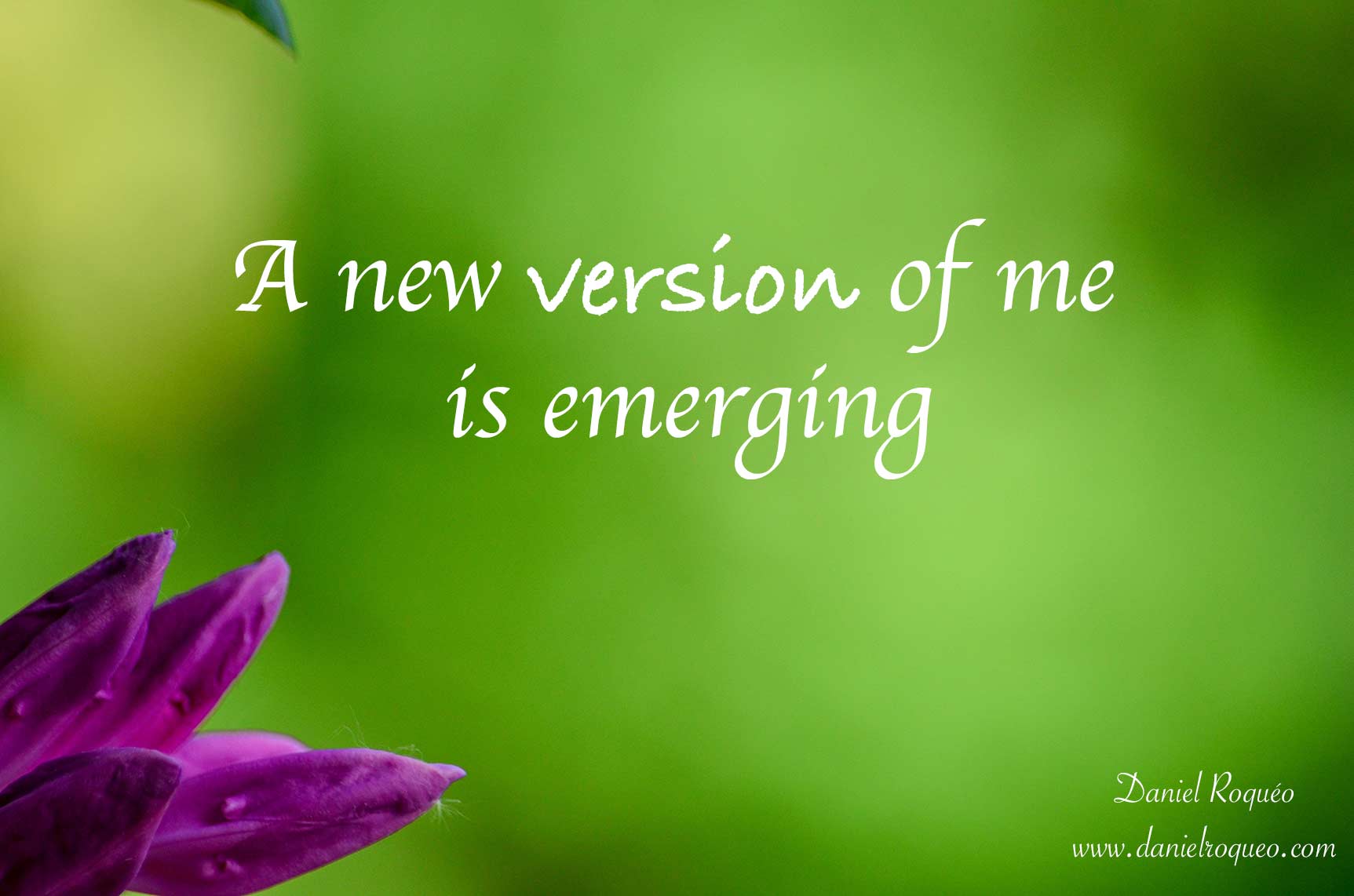 A new iteration of my mission has been revealed to me. A new me is now emerging. How I love this beautiful gift that life is. I love every step of it.