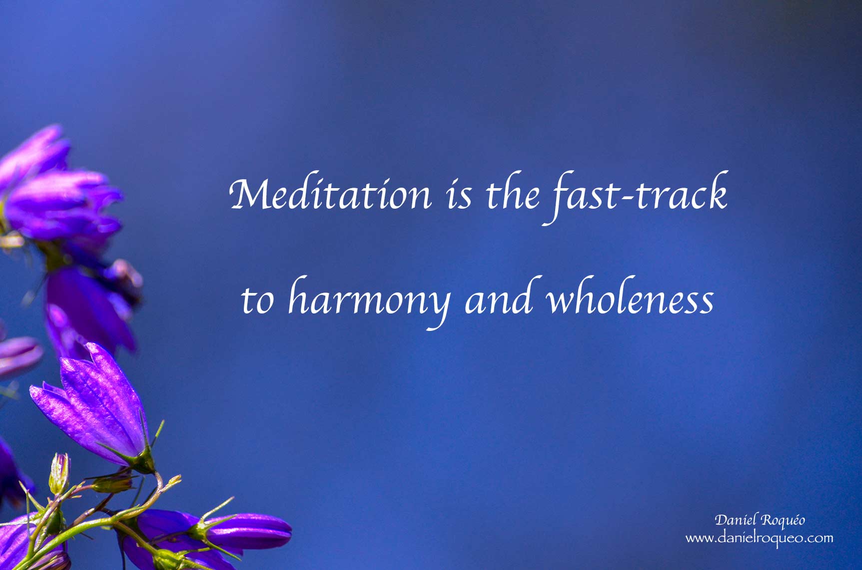 guided meditations is a fast track to inner peace and harmony