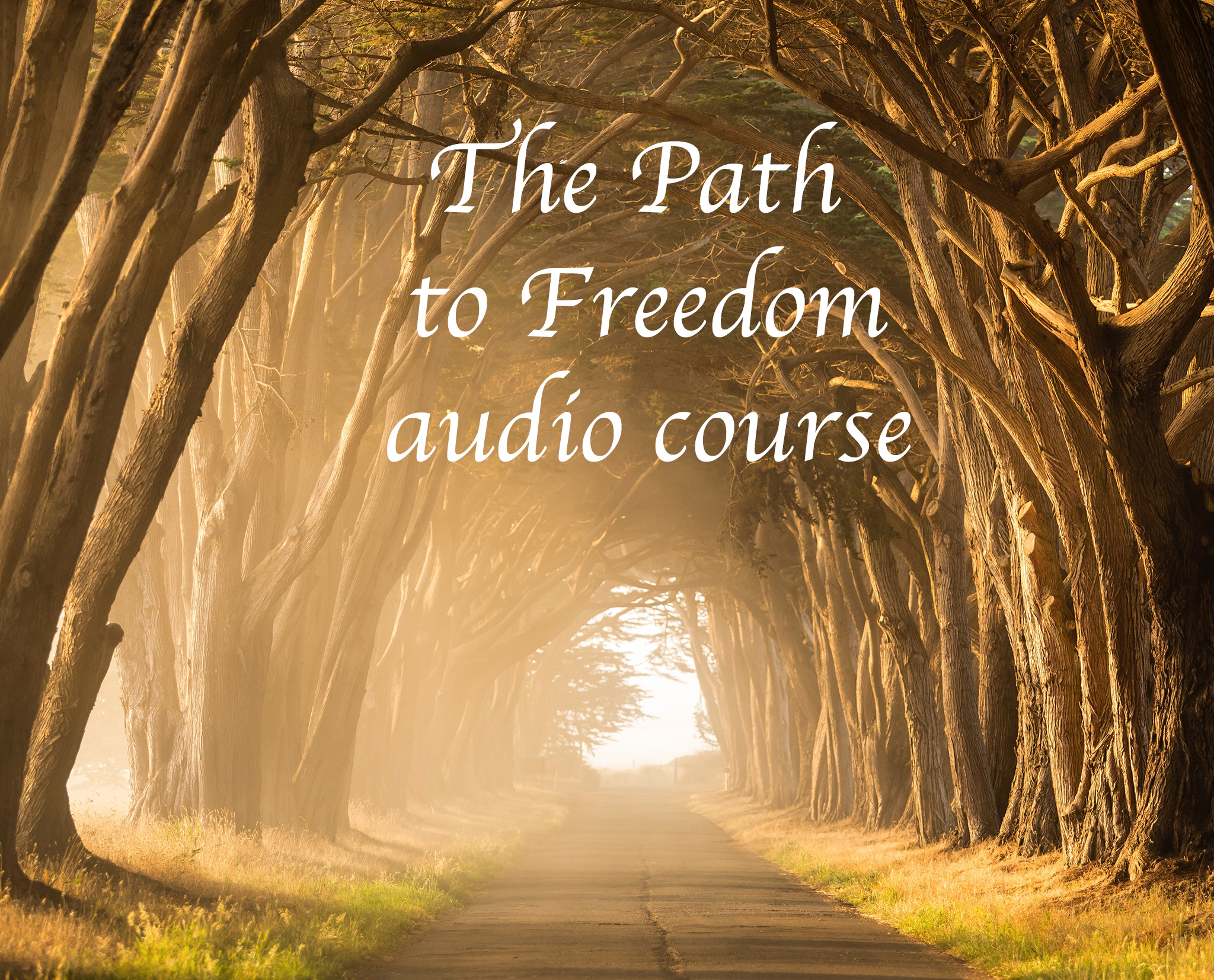path to freedom audio course