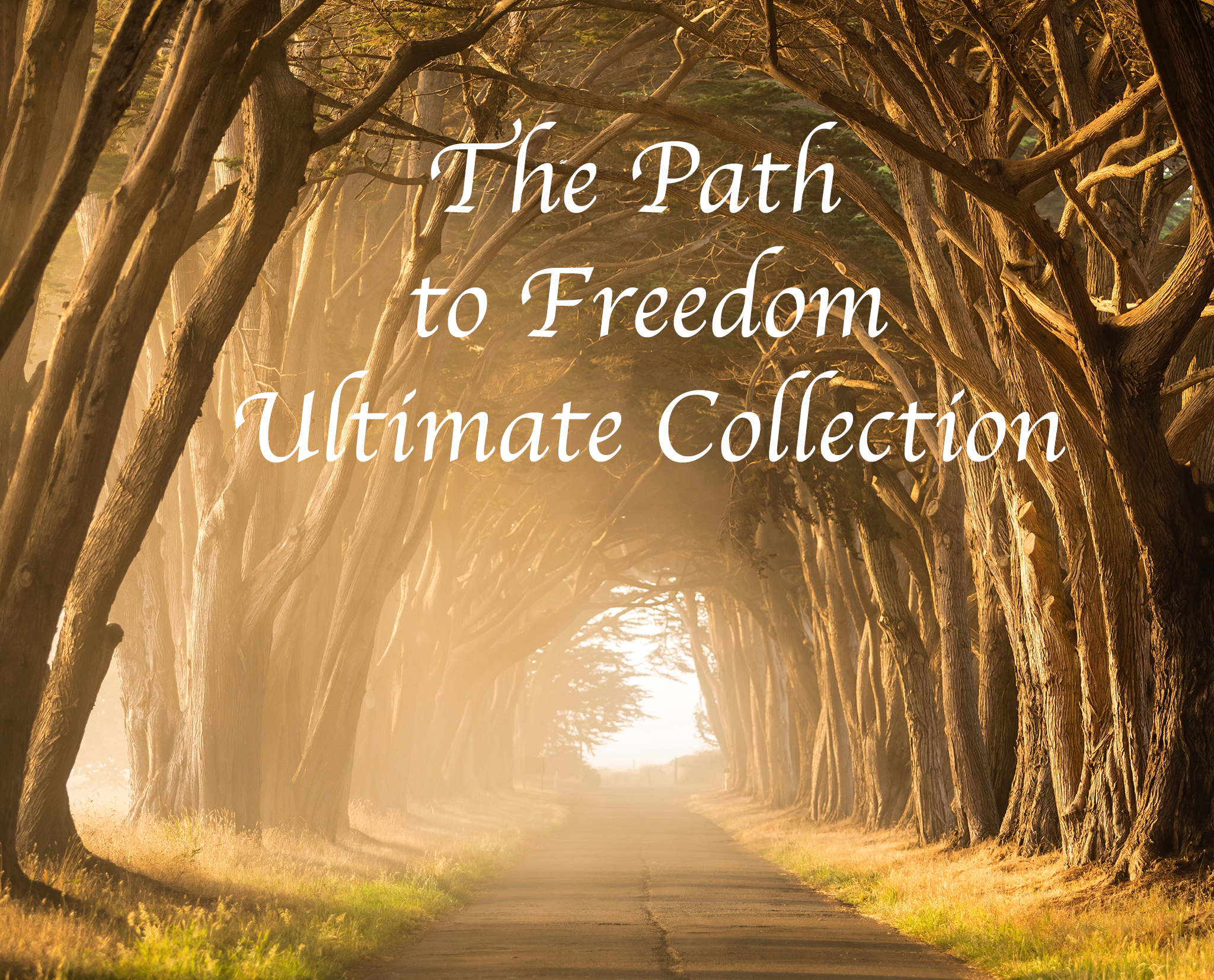 the path to freedom ultimate collection
